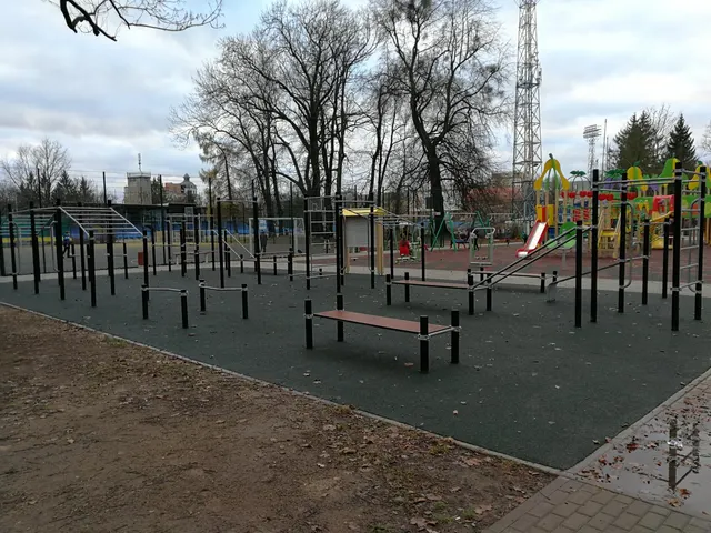 Calisthenics Park at Балтика, Калининград