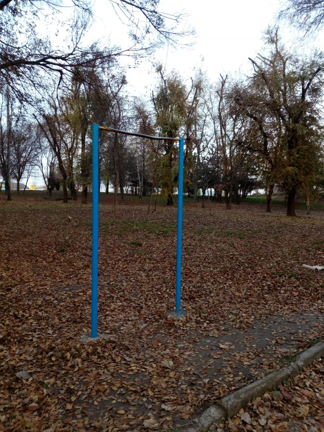 Bară de flotări la Calisthenics Park at улица Капустина, Ростов-на-Дону – fotografia 5 din 6
