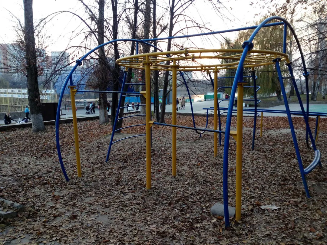 Monkey Bars la Calisthenics Park at улица Капустина, Ростов-на-Дону – fotografia 3 din 6