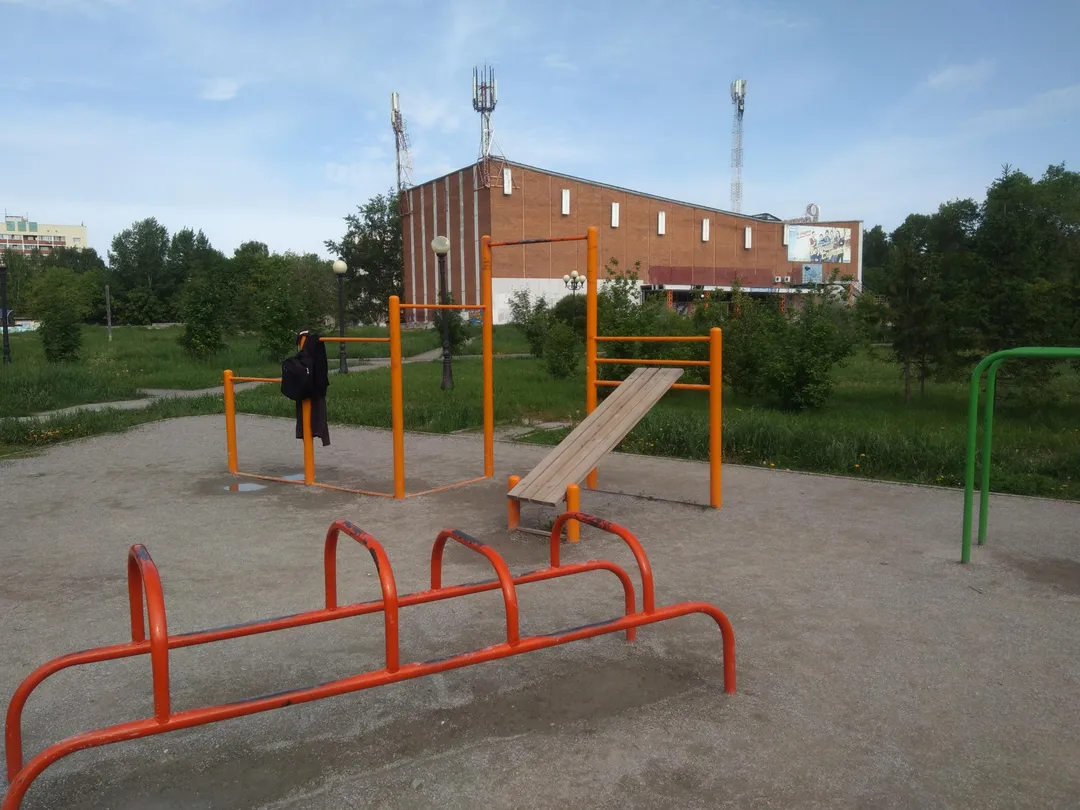 Monkey Bars la Outdoor Gym in Затулинский жилмассив, городской округ Новосибирск – fotografia 4 din 5