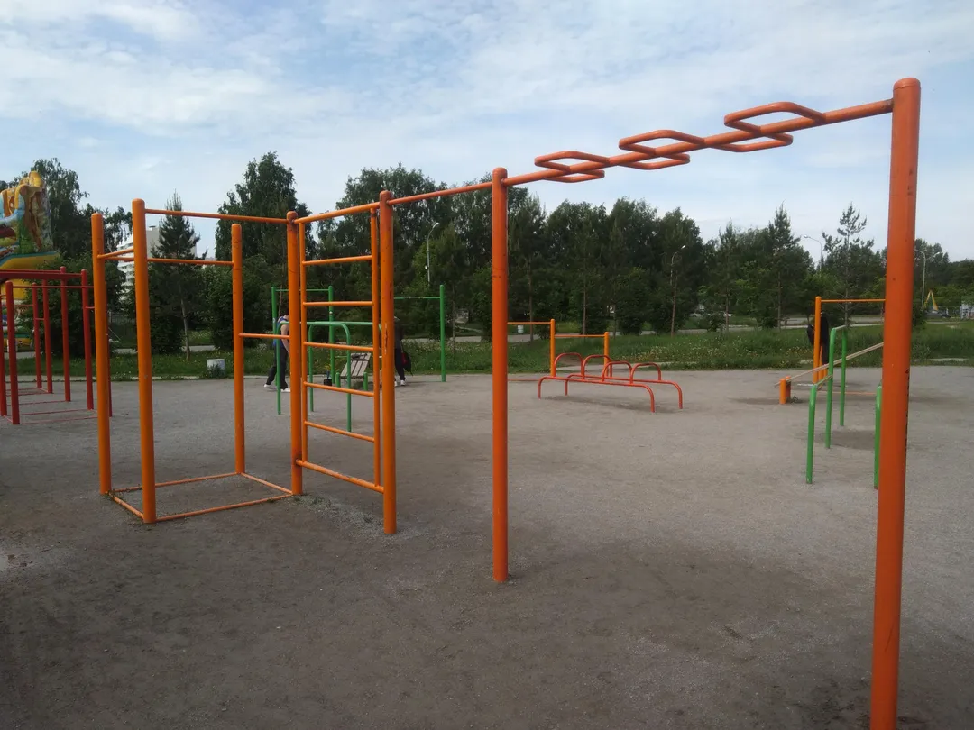 Bară de flotări la Outdoor Gym in Затулинский жилмассив, городской округ Новосибирск – fotografia 2 din 5