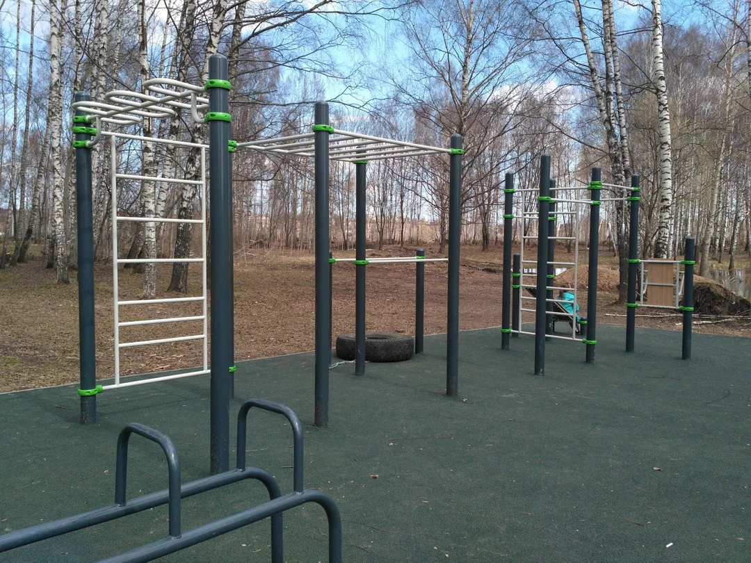 Barres de singe à Calisthenics Park at Студенческий проезд, Ивантеевка – photo 3 sur 4