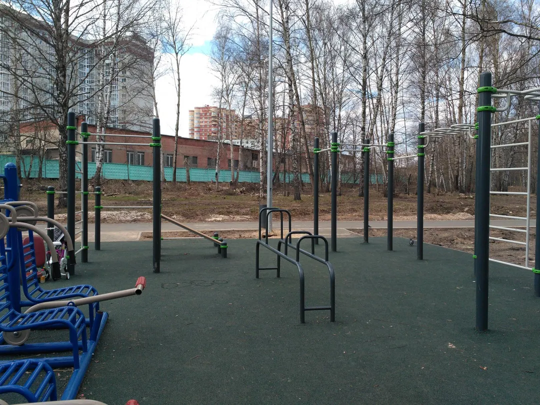 Espalier à Calisthenics Park at Студенческий проезд, Ивантеевка – photo 4 sur 4