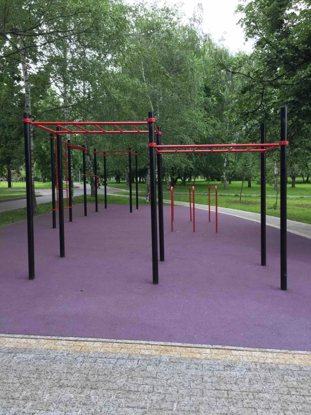 Шведська стінка на майданчику Calisthenics Park at Загородное шоссе, Москва – фото 4 з 4