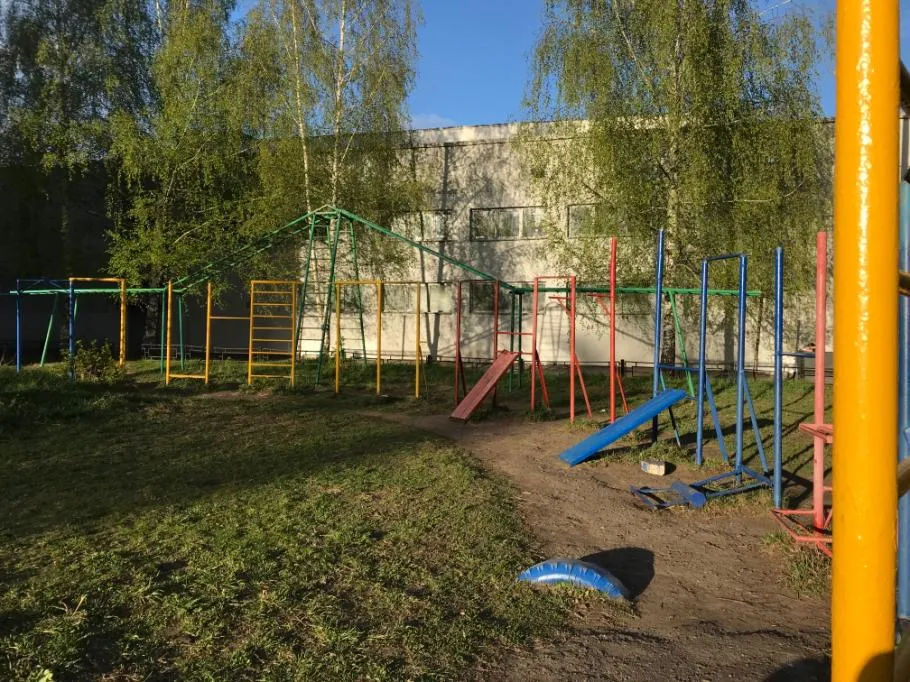 Monkey Bars at Calisthenics Park at Студенческая улица, Нижний Новгород – photo 3 of 3