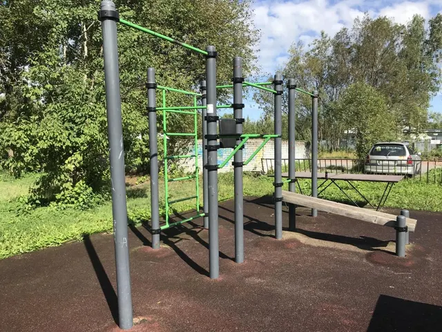 Calisthenics Park at Кооперативная улица, Парголово