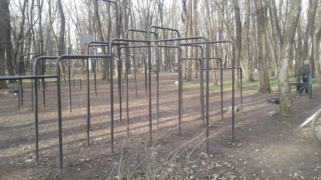 Barres parallèles à Calisthenics Park at Киргизская улица, Ростов-на-Дону – photo 3 sur 6