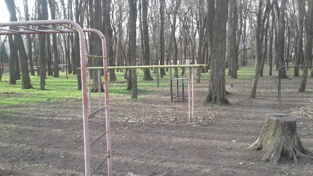 Barre de pompes à Calisthenics Park at Киргизская улица, Ростов-на-Дону – photo 2 sur 6