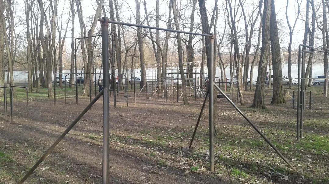 Espalier à Calisthenics Park at Киргизская улица, Ростов-на-Дону – photo 5 sur 6