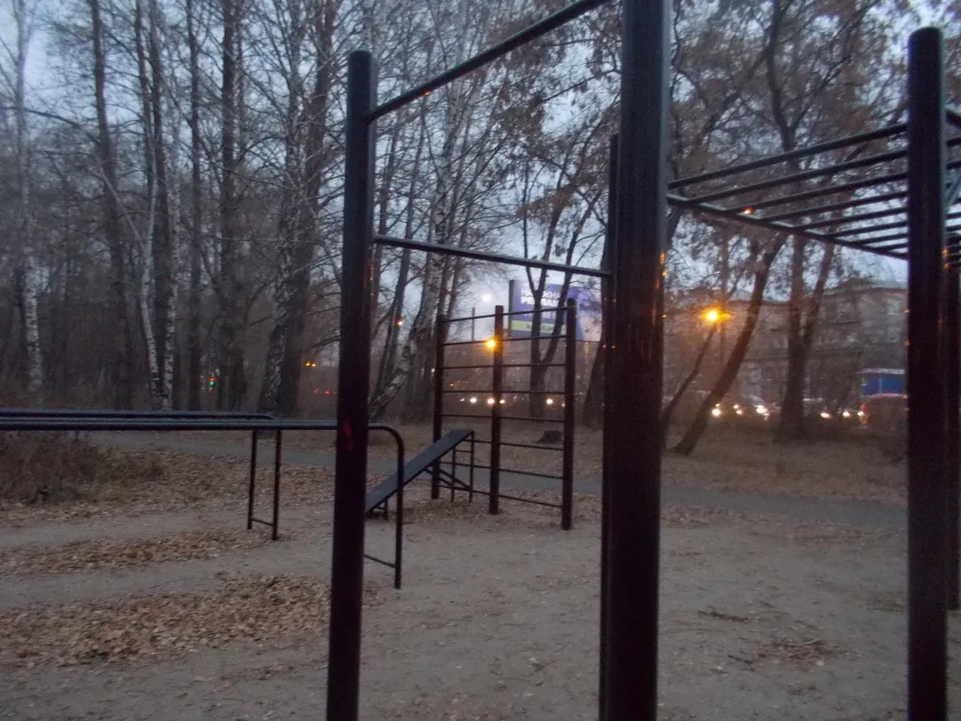 Sprossenwand bei Calisthenics Park at улица Первой Пятилетки, Челябинск – Foto 11 von 11