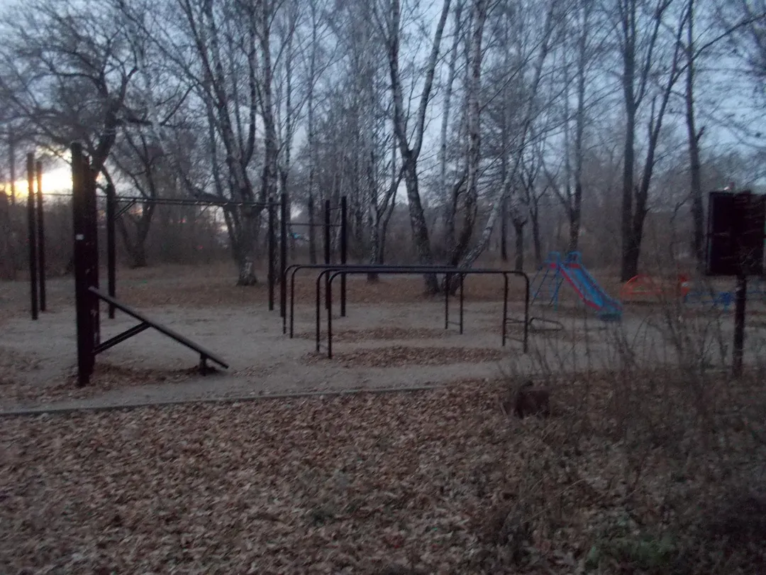 Hangelstange bei Calisthenics Park at улица Первой Пятилетки, Челябинск – Foto 4 von 11