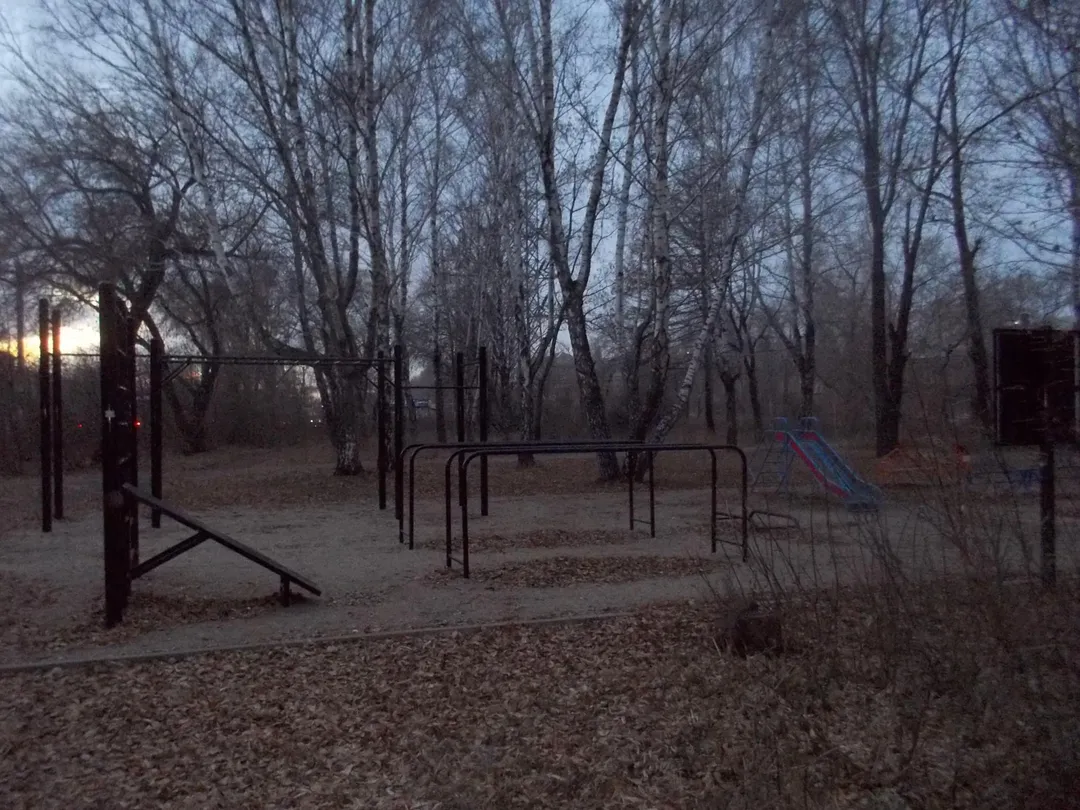 Sprossenwand bei Calisthenics Park at улица Первой Пятилетки, Челябинск – Foto 5 von 11
