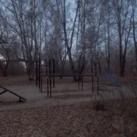 Calisthenics Park at улица Первой Пятилетки, Челябинск - thumbnail 5