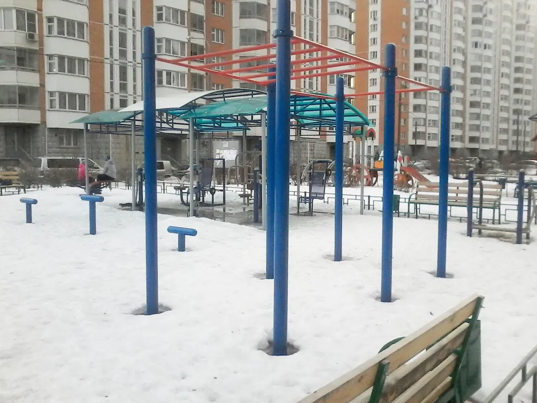 Parallel Gym Bars at Calisthenics Park at Радужная улица, Московский – photo 2 of 4