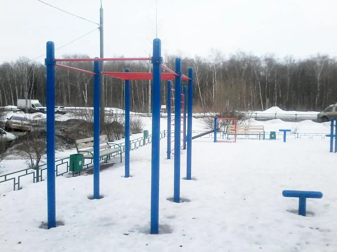 Monkey Bars at Calisthenics Park at Радужная улица, Московский – photo 3 of 4