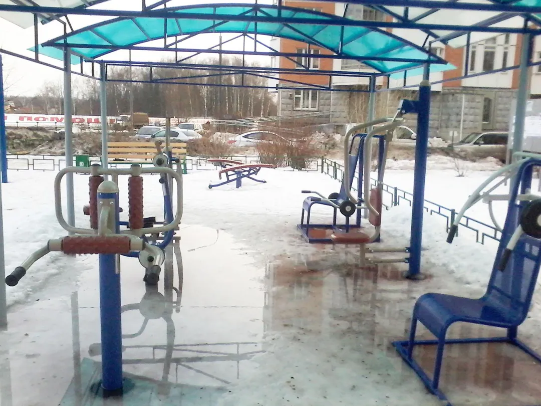 Wall Bars at Calisthenics Park at Радужная улица, Московский – photo 4 of 4