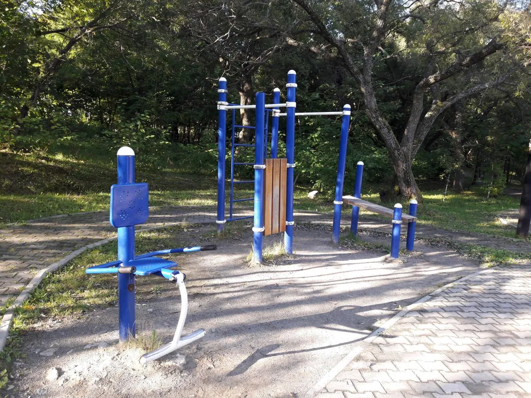 Klimmzugstange bei Calisthenics Park at Тихоокеанская улица, Хабаровск – Foto 1 von 4