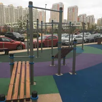 Calisthenics Park at улица Бианки, Московский - thumbnail 3