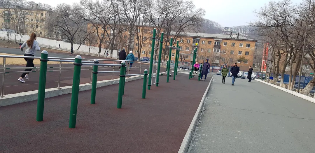 Упоры для отжиманий на площадке Calisthenics Park at Владивостокская улица, Находка – фото 2 из 6