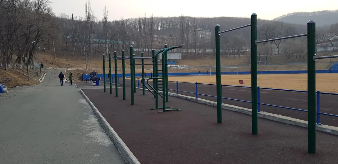 Шведская стенка на площадке Calisthenics Park at Владивостокская улица, Находка – фото 5 из 6