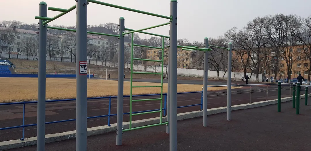 Рукоход на площадке Calisthenics Park at Владивостокская улица, Находка – фото 4 из 6