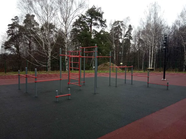 Calisthenics Park at Комсомольская улица, Гороховец