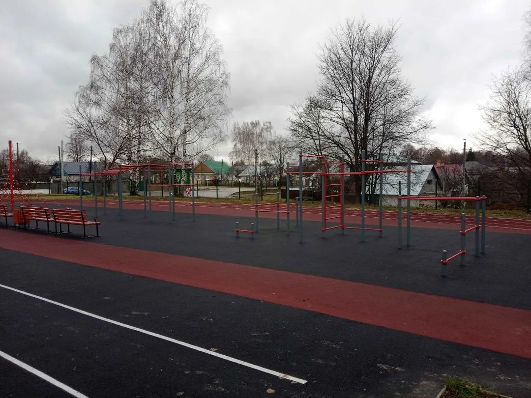 Monkey Bars at Calisthenics Park at Комсомольская улица, Гороховец – photo 3 of 3