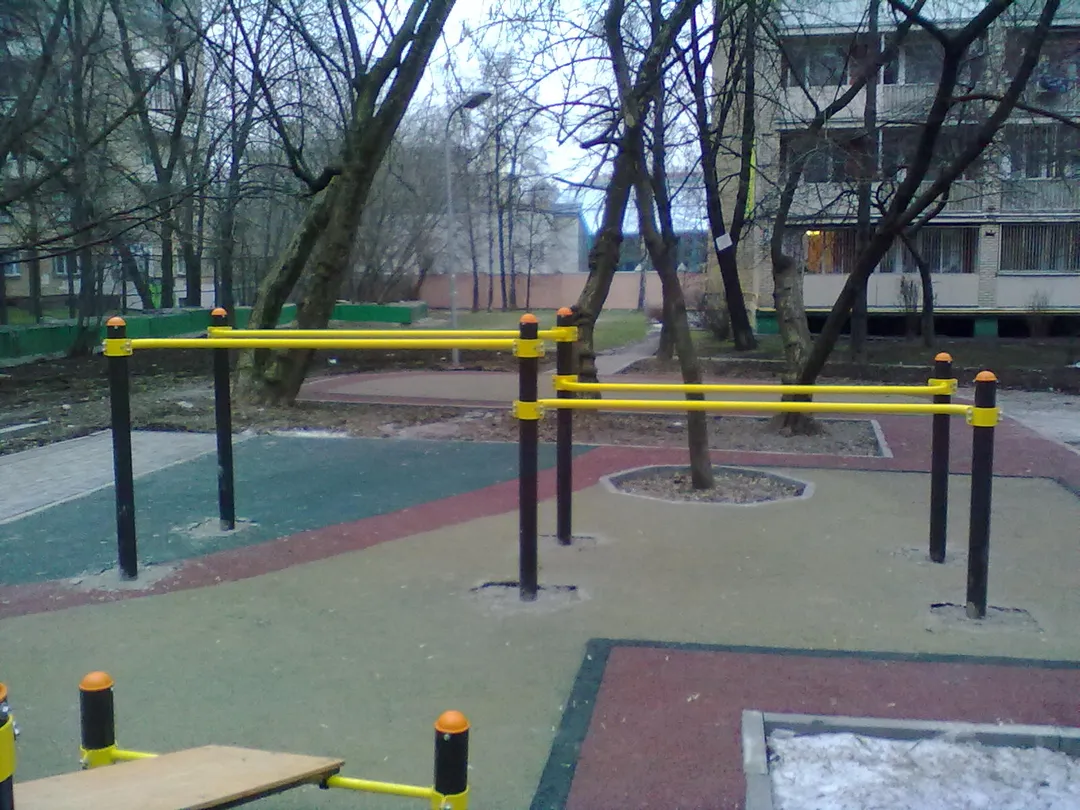 Monkey Bars at Calisthenics Park at Комсомольский проспект, Москва – photo 3 of 4