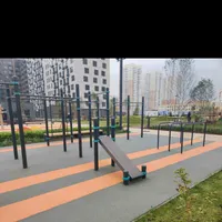Calisthenics Park at Орлово-Денисовский проспект, Санкт-Петербург - thumbnail 1