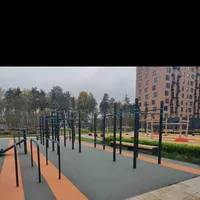 Calisthenics Park at Орлово-Денисовский проспект, Санкт-Петербург - thumbnail 3