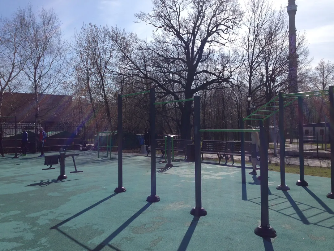 Spalier la Calisthenics Park at Спортивная аллея, Москва – fotografia 4 din 6