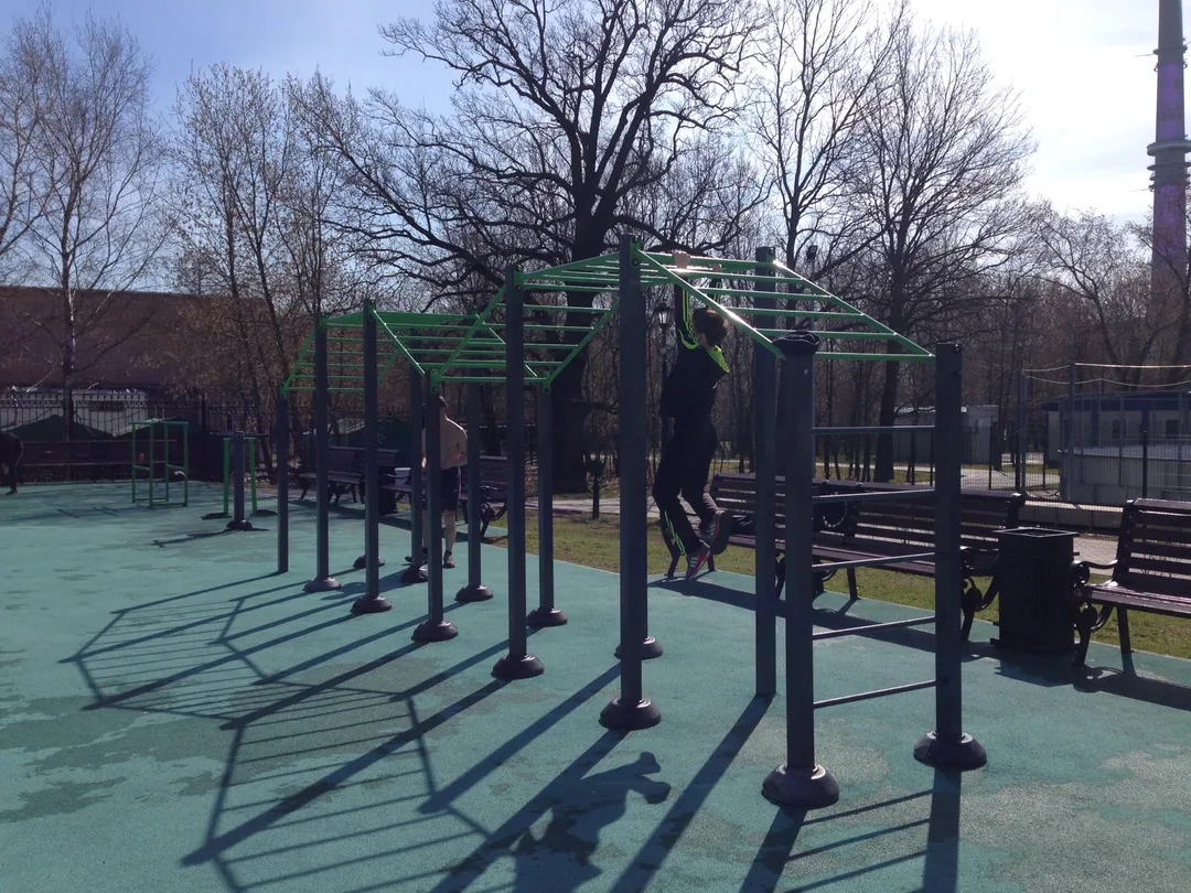 Bare paralele la Calisthenics Park at Спортивная аллея, Москва – fotografia 2 din 6