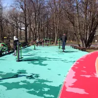 Calisthenics Park at Спортивная аллея, Москва - thumbnail 1