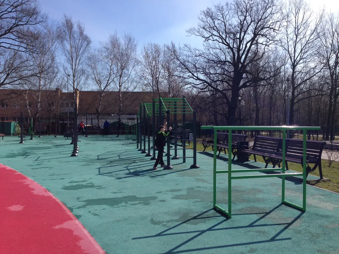 Monkey Bars la Calisthenics Park at Спортивная аллея, Москва – fotografia 3 din 6