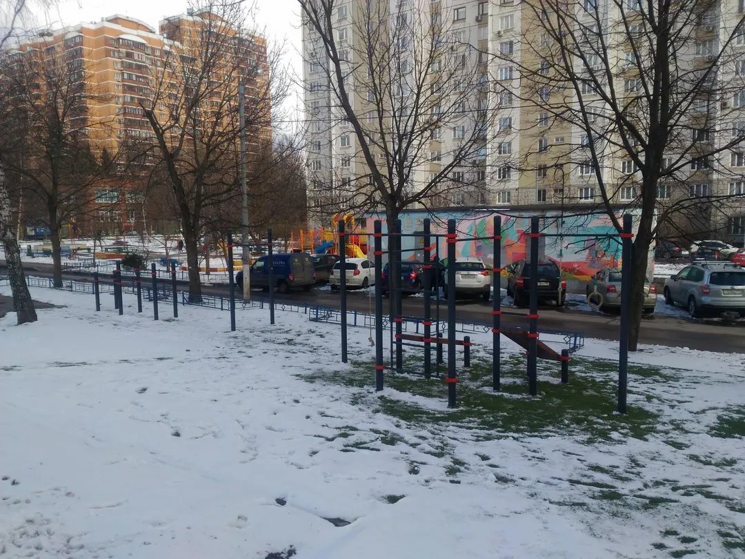 Bare paralele la Calisthenics Park at Профсоюзная улица, Москва – fotografia 2 din 3