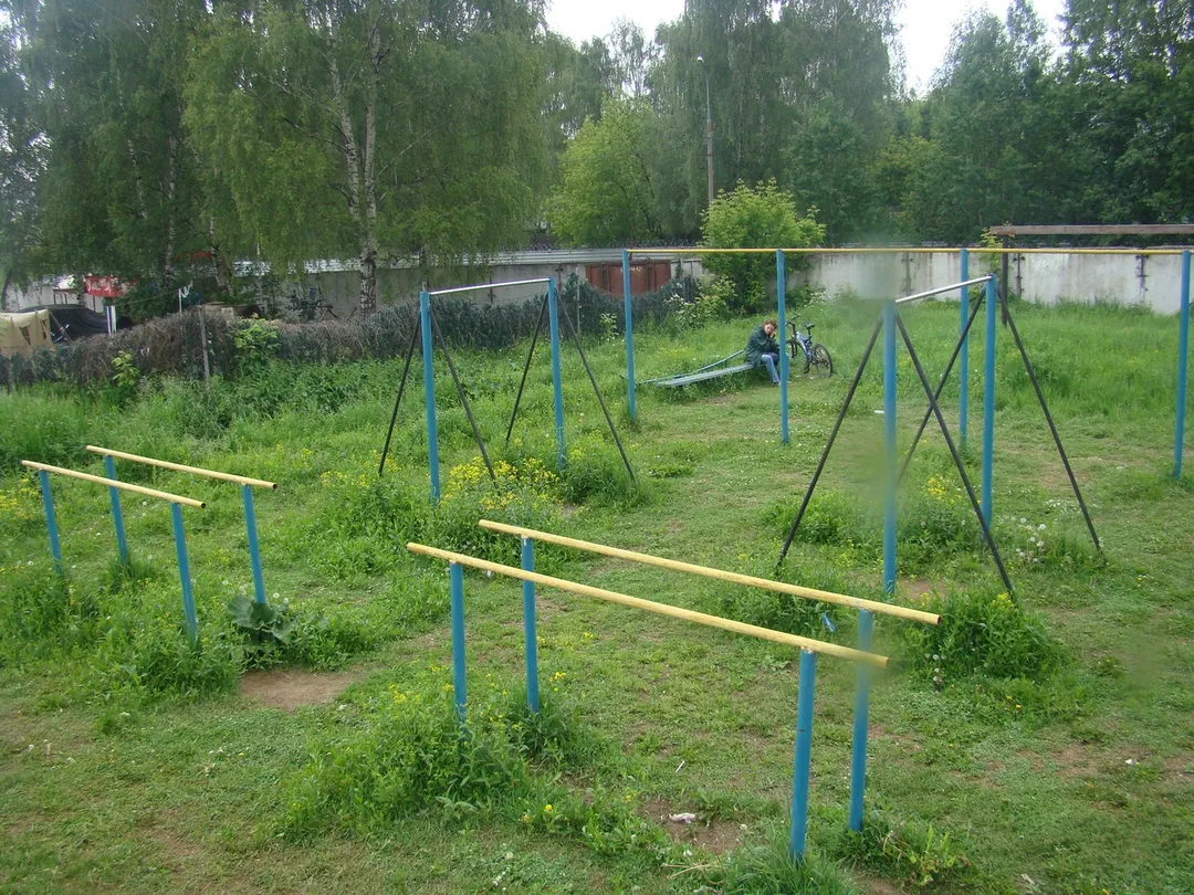 Espalderas en Calisthenics Park at улица Заречье, Москва #wp1987 – foto 4 de 6