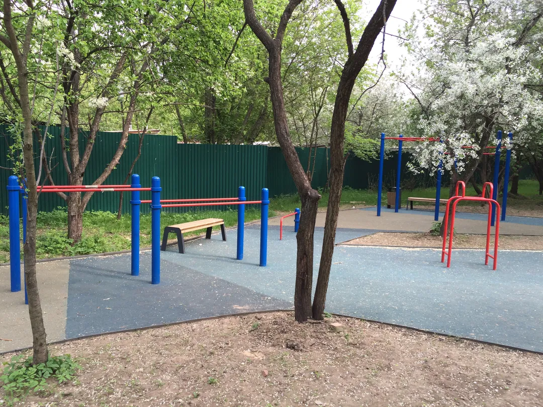 Monkey Bars la Calisthenics Park at Большая Академическая улица, Москва #wp1988 – fotografia 3 din 6