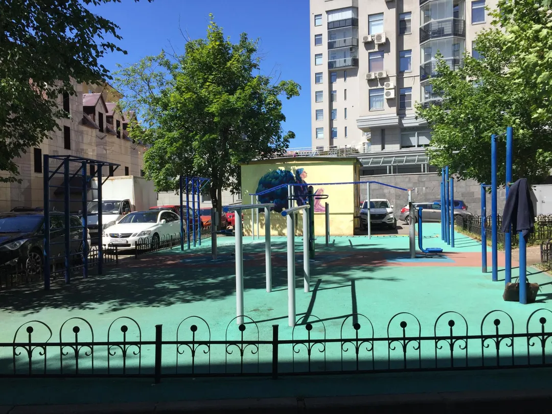 Bare paralele la Calisthenics Park at Большой проспект П.С., Санкт-Петербург – fotografia 2 din 2