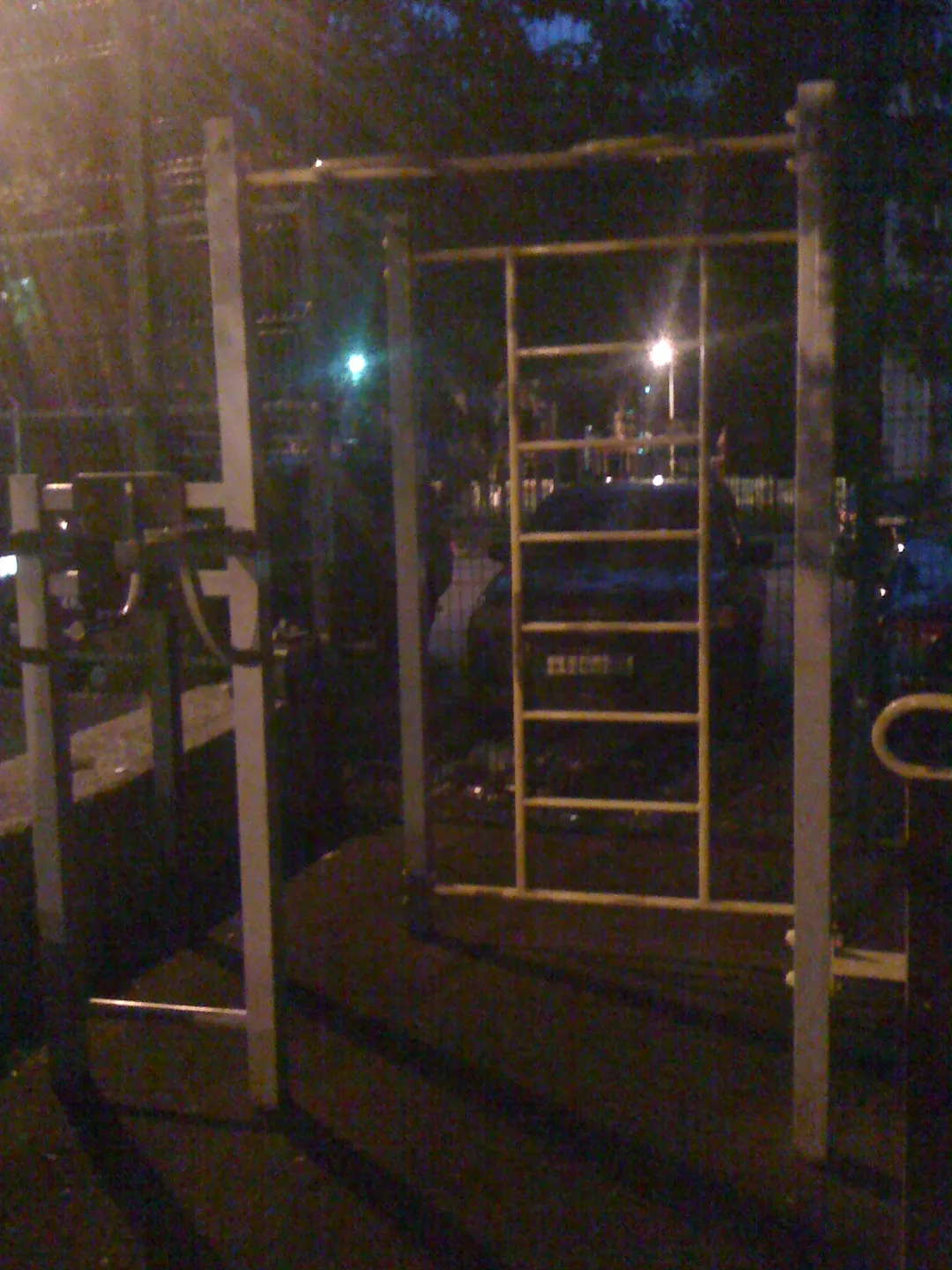 Monkey bar presso Calisthenics Park at Большой Овчинниковский переулок, Москва – foto 3 di 4