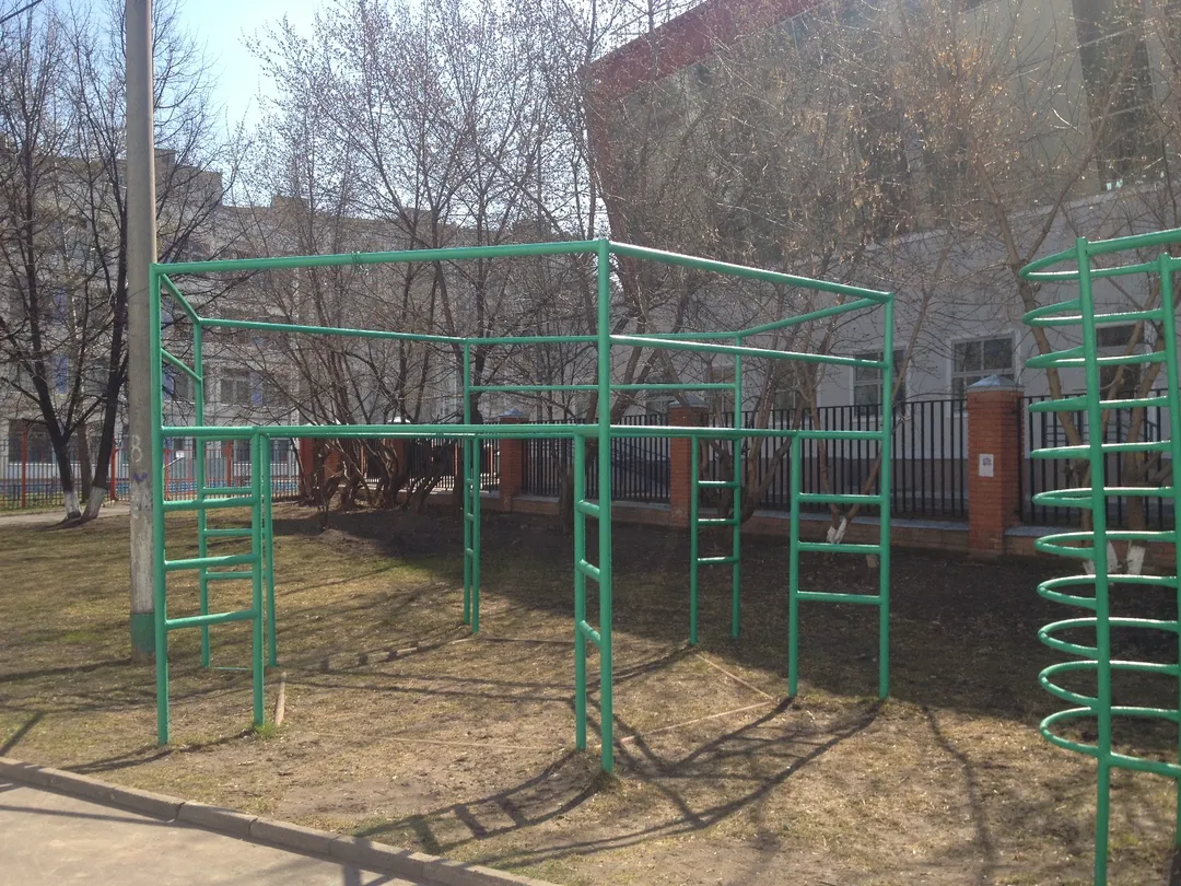 Spalier la Calisthenics Park at улица Академика Полякова, Москва – fotografia 3 din 3