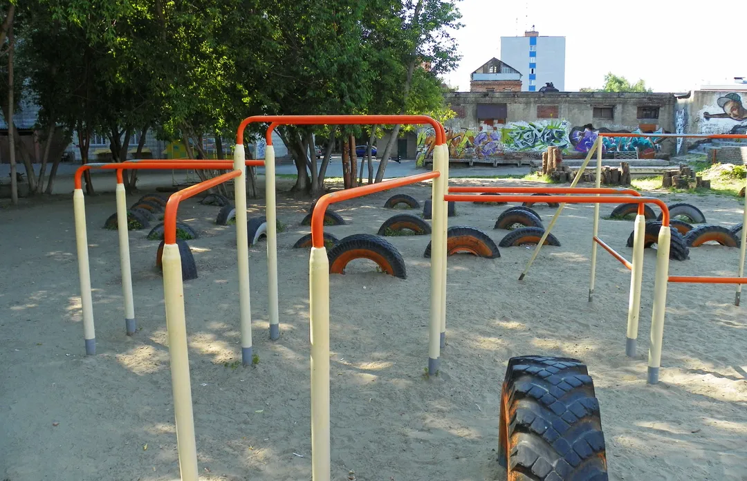 Wall Bars at Calisthenics Park at Космическая улица, городской округ Новосибирск – photo 4 of 7