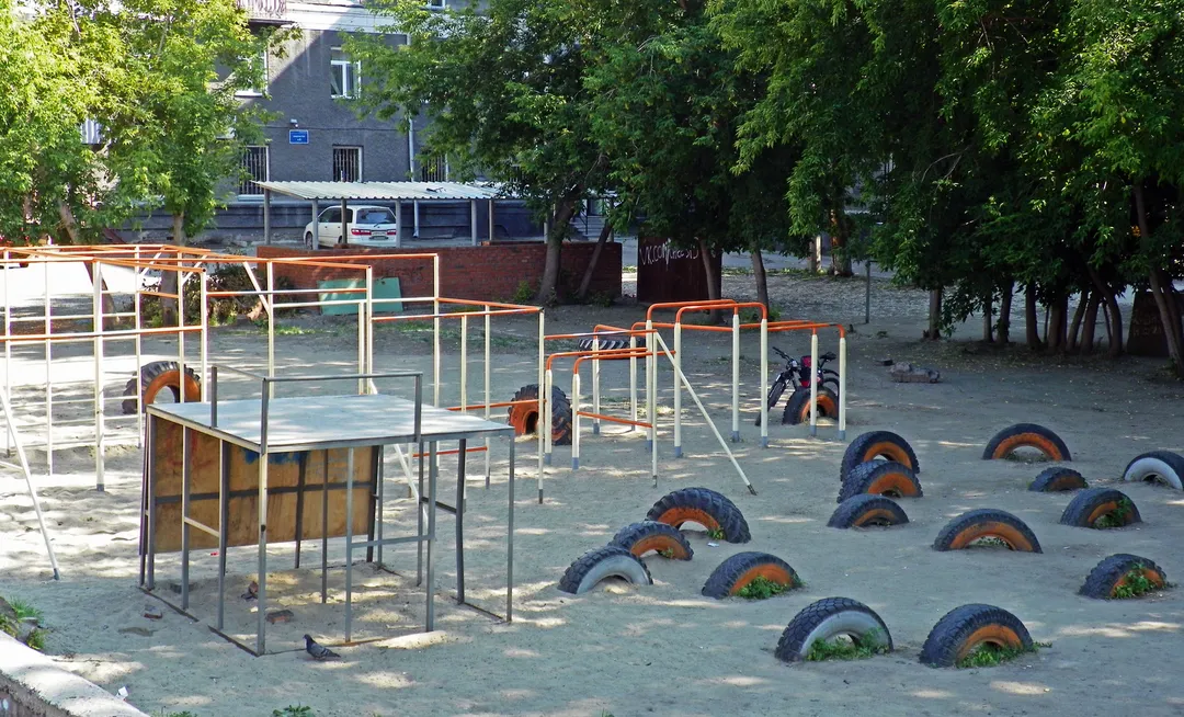 Monkey Bars at Calisthenics Park at Космическая улица, городской округ Новосибирск – photo 3 of 7