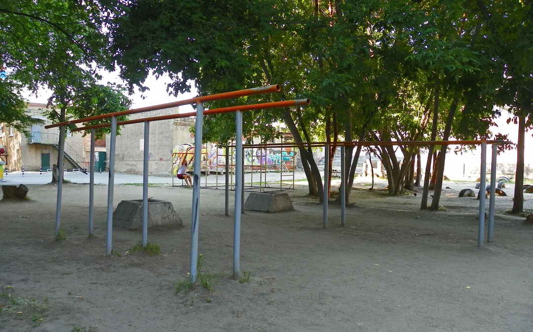 Monkey Bars at Calisthenics Park at Космическая улица, городской округ Новосибирск – photo 7 of 7