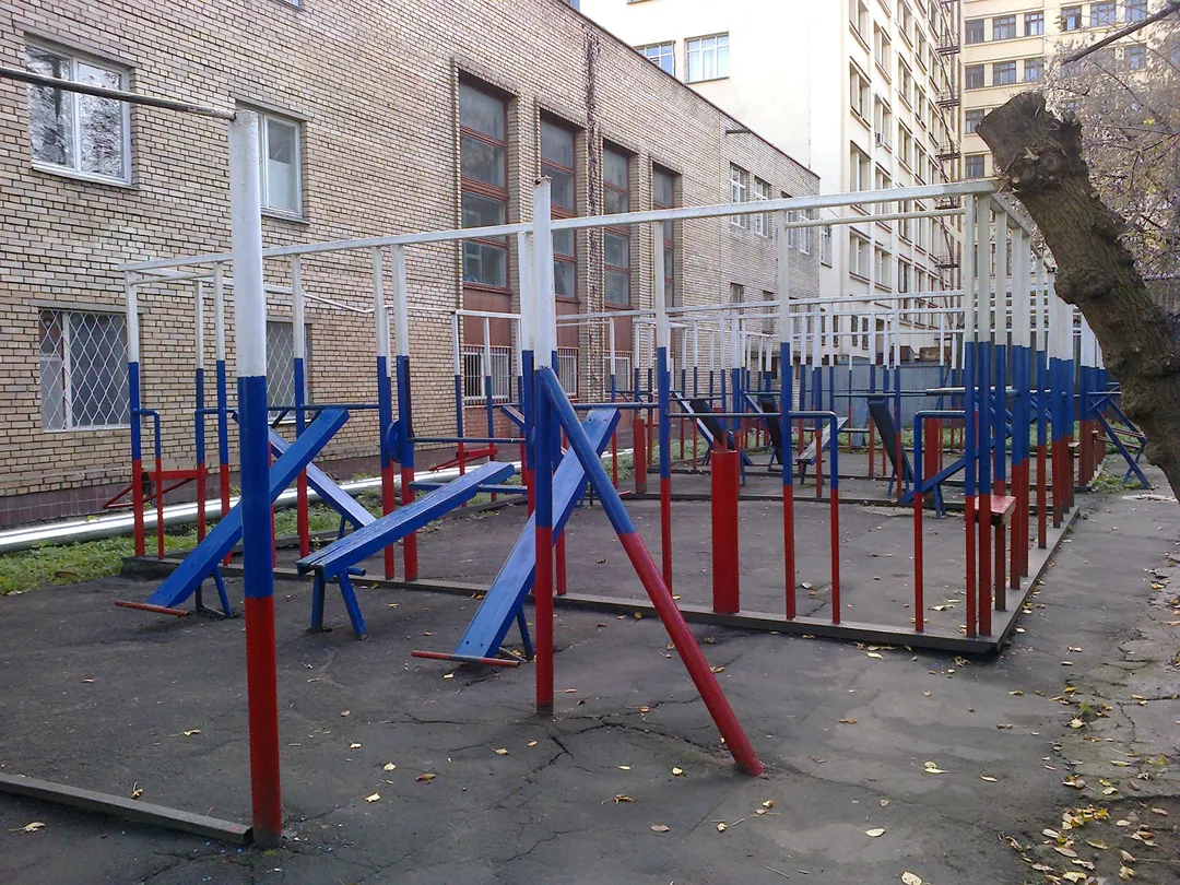 Monkey Bars la Calisthenics Park at улица Бурденко, Москва – fotografia 3 din 7