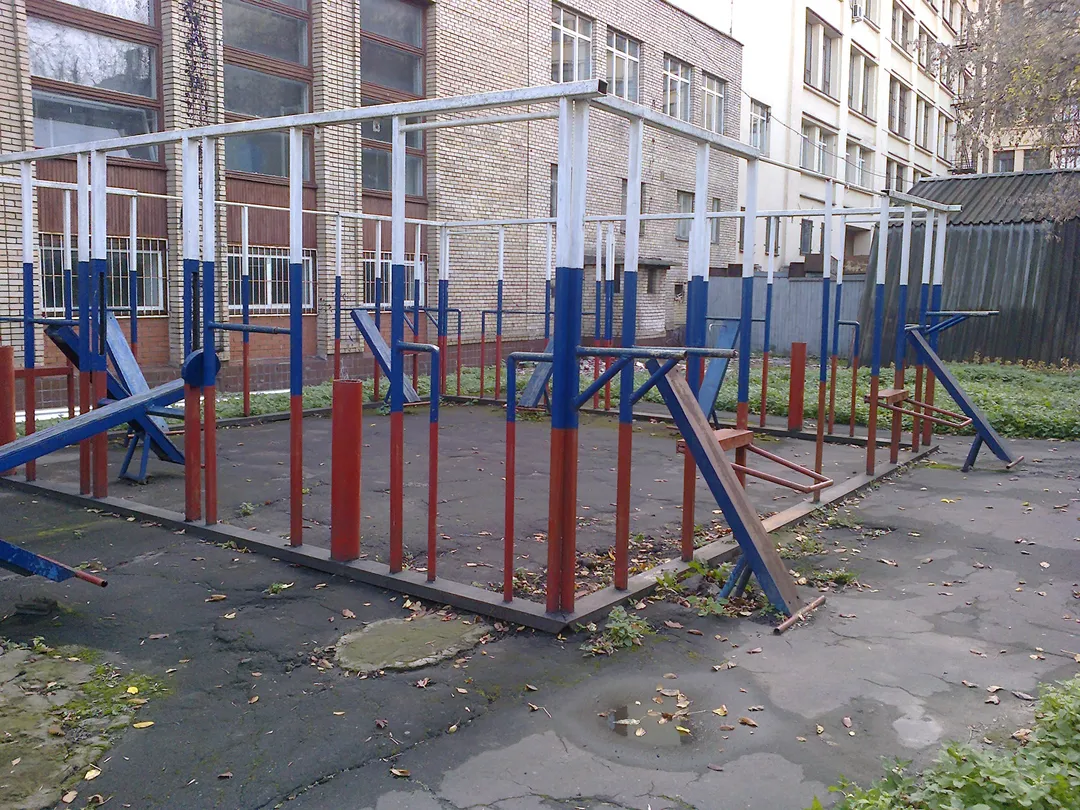 Spalier la Calisthenics Park at улица Бурденко, Москва – fotografia 4 din 7
