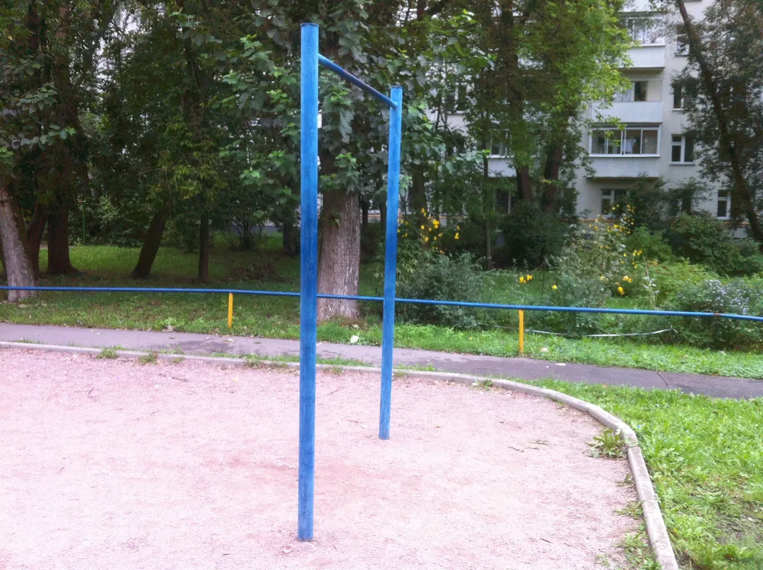 Bară de tracțiuni la Calisthenics Park at улица Габричевского, Москва – fotografia 3 din 3