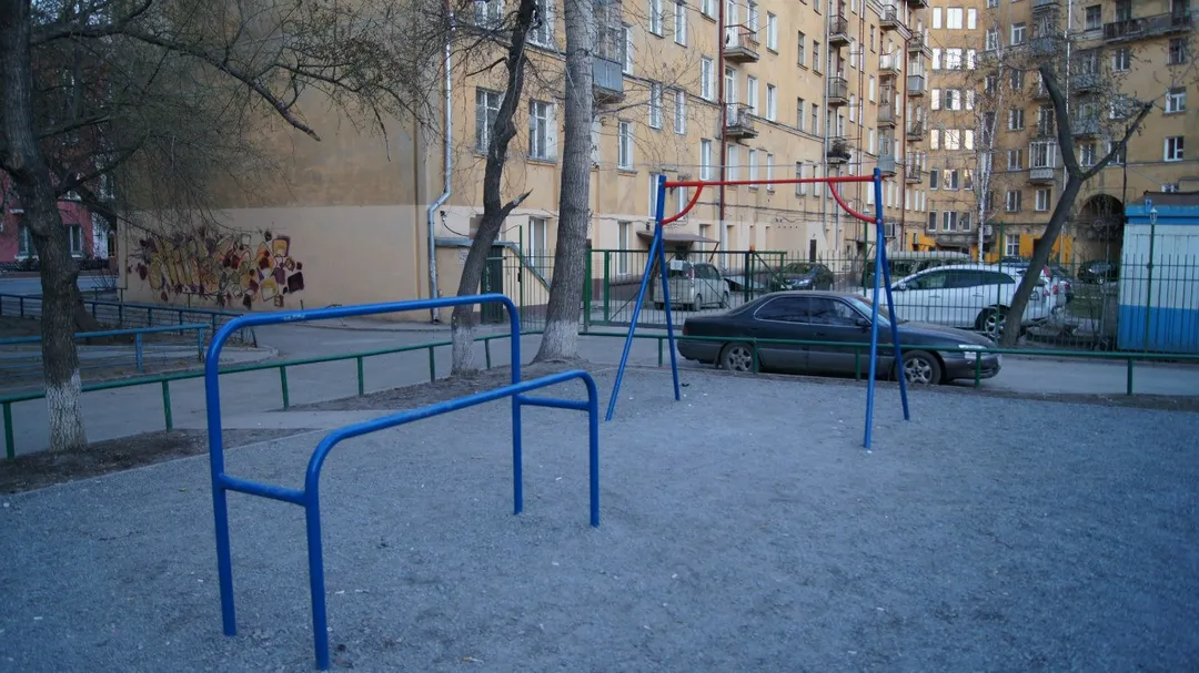 Monkey bar presso Calisthenics Park at Советская улица, Новосибирск – foto 3 di 5