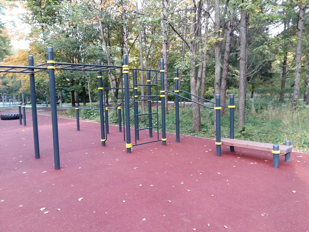 Monkey Bars la Calisthenics Park at аллея Славы, Москва – fotografia 3 din 8