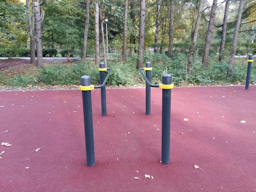 Spalier la Calisthenics Park at аллея Славы, Москва – fotografia 4 din 8