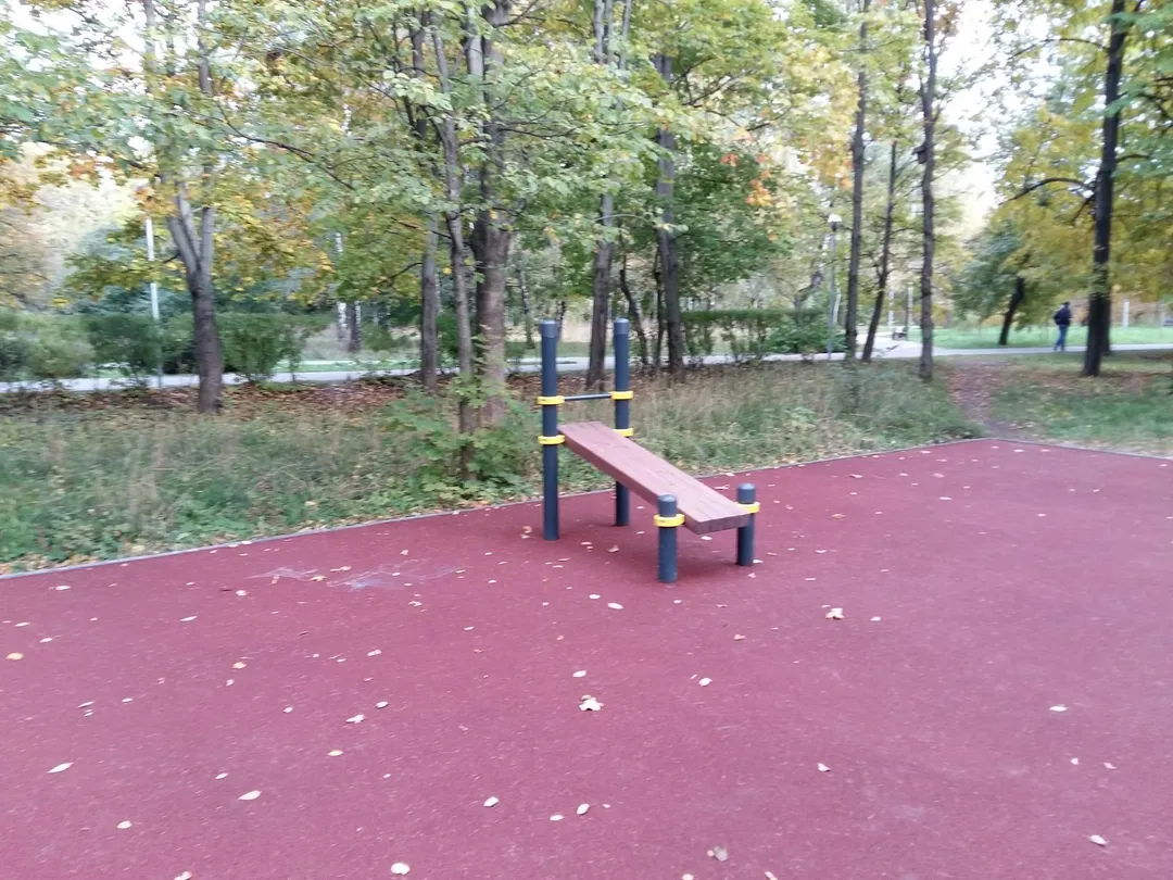 Bare paralele la Calisthenics Park at аллея Славы, Москва – fotografia 8 din 8